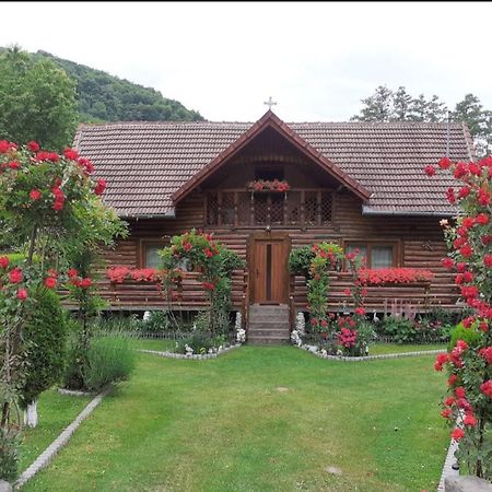 Casa Bunicii Hotel Costeşti Eksteriør billede