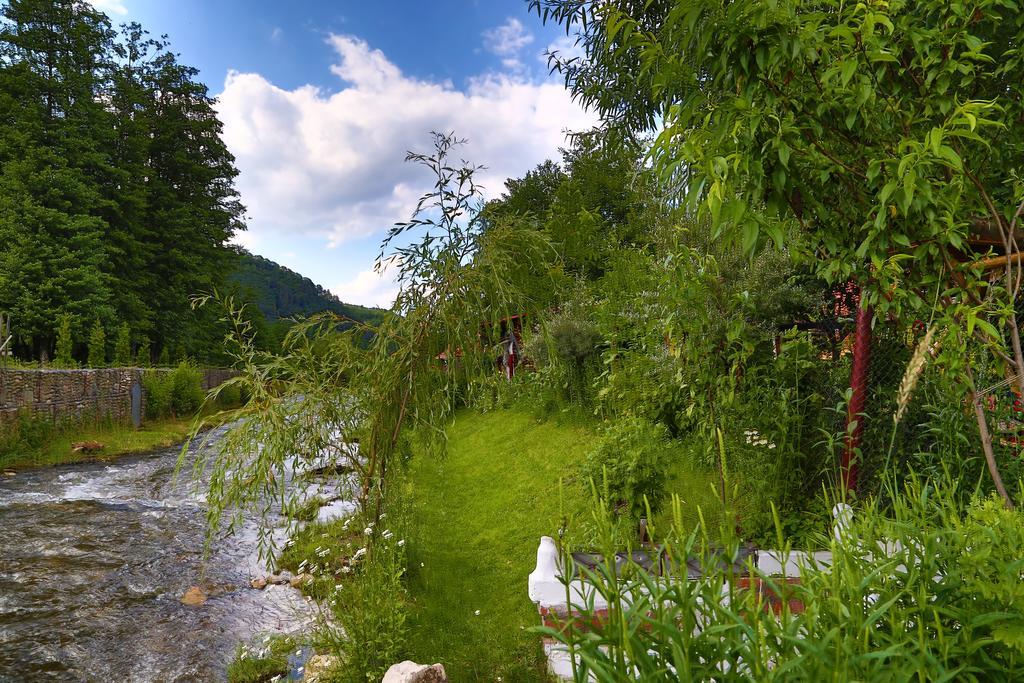 Casa Bunicii Hotel Costeşti Eksteriør billede